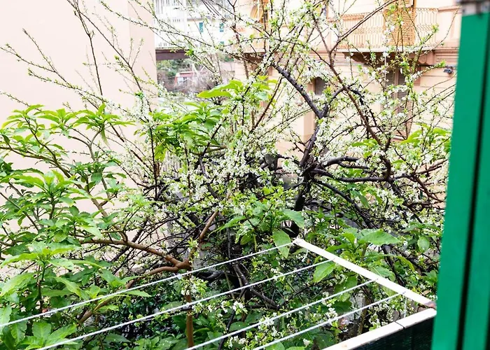 Margherita - Citra 011015-lt-1929 Lejlighed La Spezia